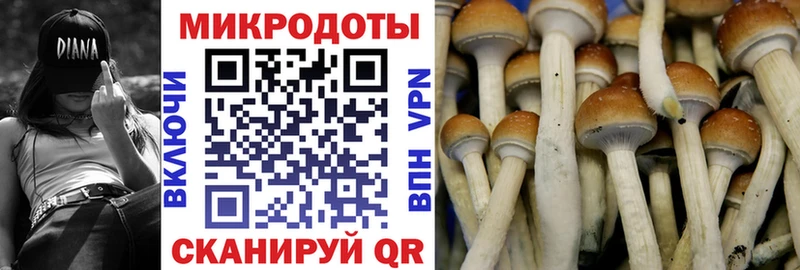 Псилоцибиновые грибы GOLDEN TEACHER купить наркотики цена Саяногорск